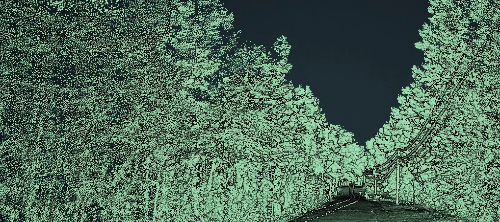 Mint-colored mobile LiDAR point cloud showing a roadway corridor, vegetation, and utility lines